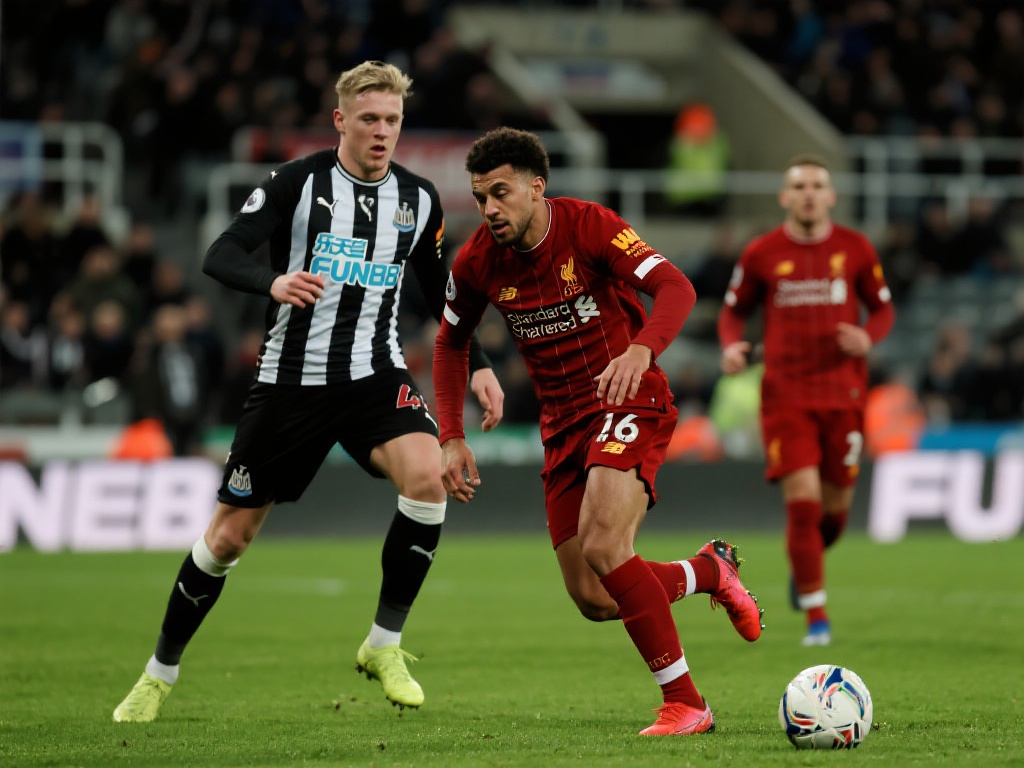 阿根廷世界杯阵容揭秘：梅西与洛夫朗双星闪耀，球队实力深度剖析